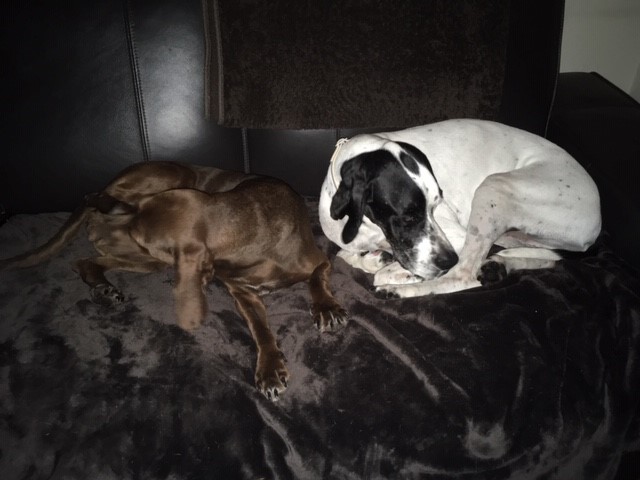 Hilde + Hannes 4.jpg