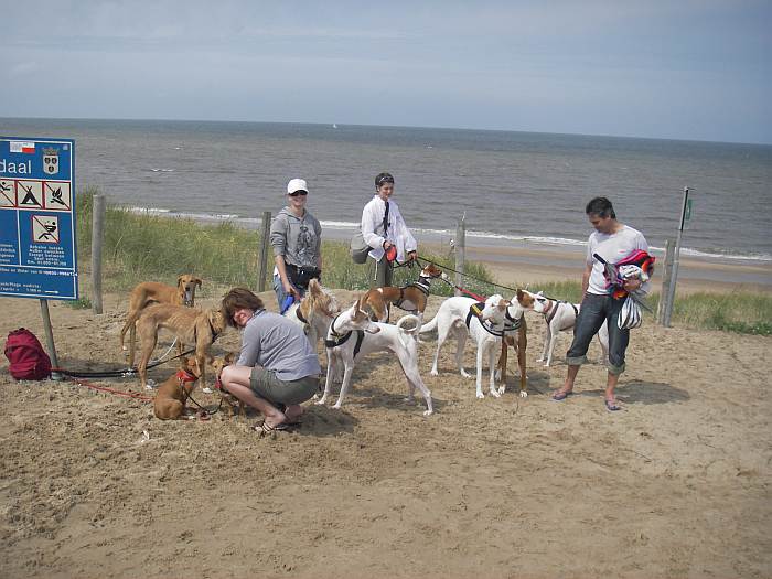 Frauen und Hunde k.jpg