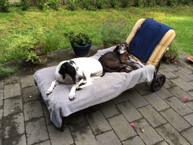 Hannes mit Freundin Armari.jpg