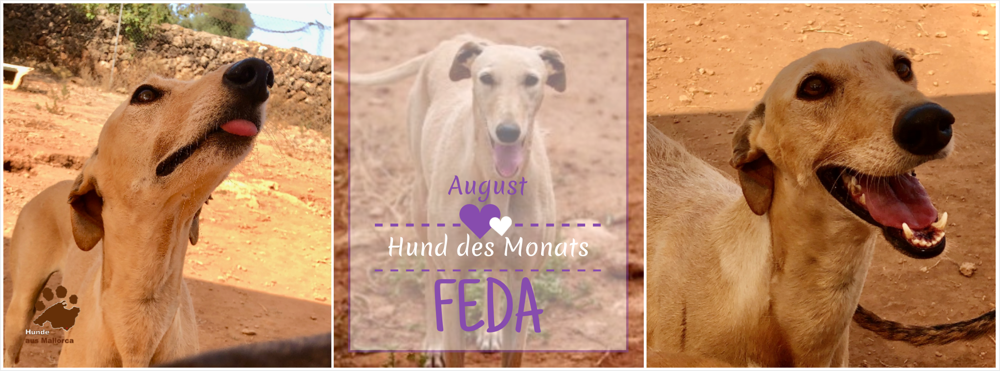 FEDA.png