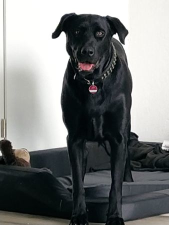 dfb55e00-94b5-4599-bd28-ccc4e61fcd4d.jpg