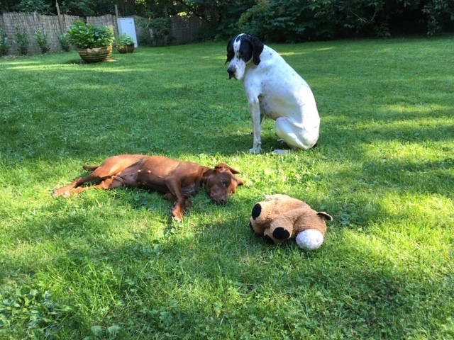 Hannes, Hilde und Pony 2.jpg