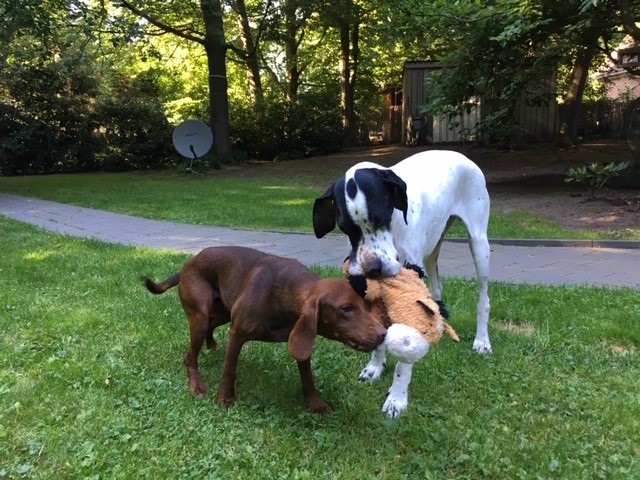 Hannes, Hilde und Pony.jpg