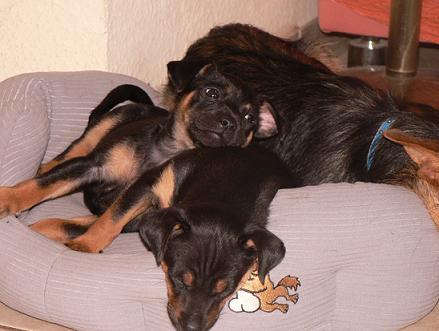 Babys.jpg