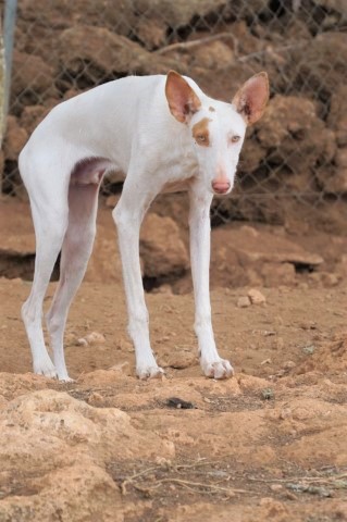 WhatsApp Image 2020-08-31 at 21.10.58 (1).jpeg