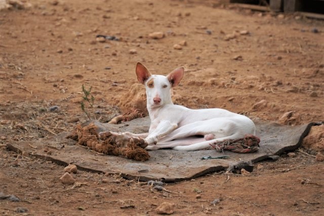 WhatsApp Image 2020-08-31 at 21.10.58.jpeg