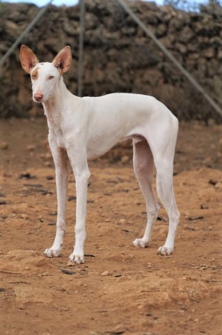 WhatsApp Image 2020-08-31 at 21.10.59 (1).jpeg