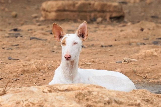 WhatsApp Image 2020-08-31 at 21.10.59 (2).jpeg