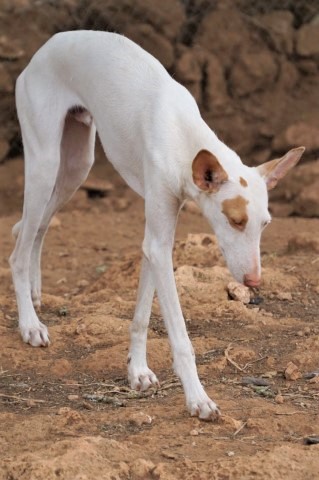 WhatsApp Image 2020-08-31 at 21.10.59.jpeg