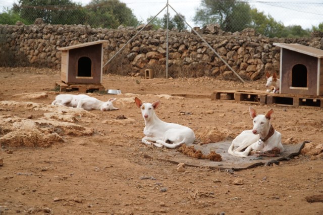 WhatsApp Image 2020-08-31 at 21.12.23.jpeg