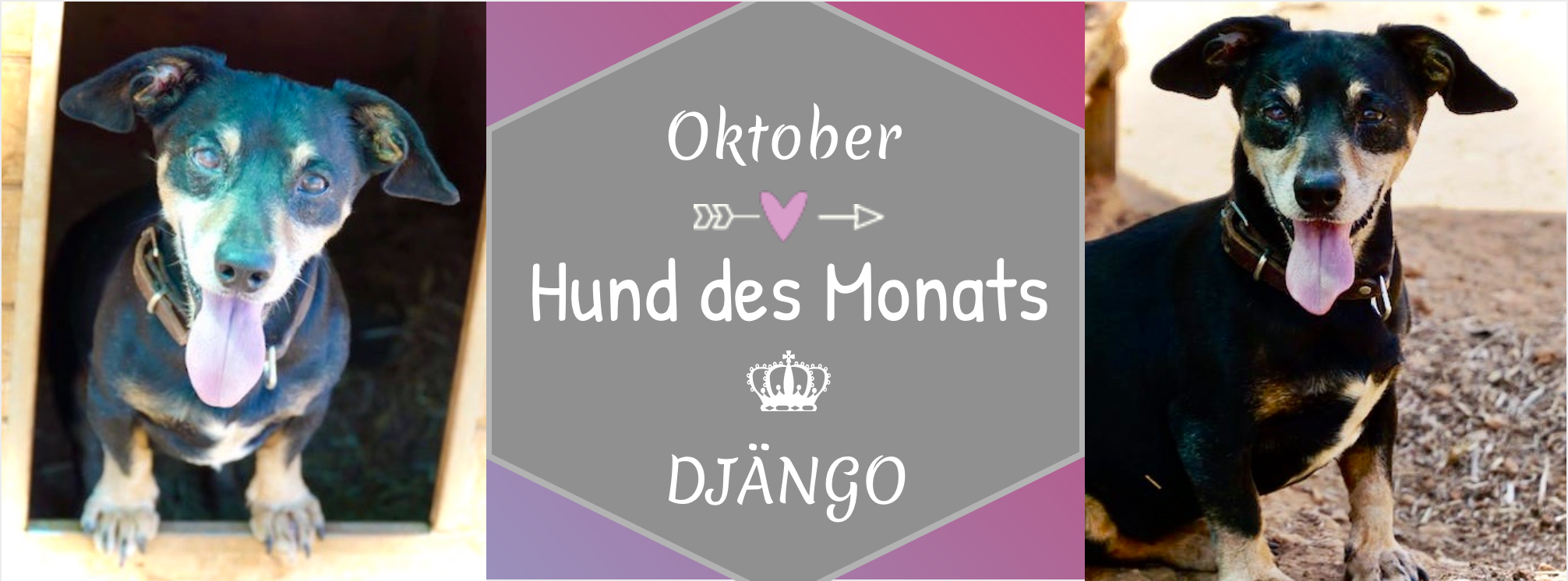 DJÄNGO.png