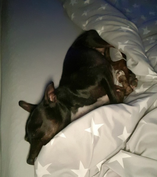 20201108_205116.jpg