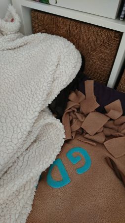 6ec85b4f-fe10-40b0-b89e-8d9c77cd4f73.jpg