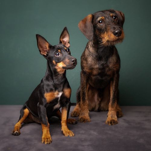 Alvin & Ida.jpg