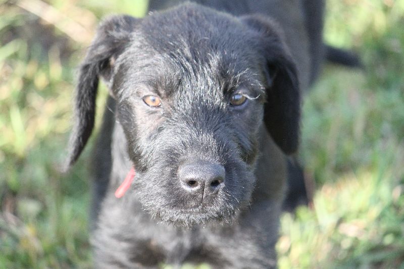 HaM-Wiese 18Nov09_92.jpg