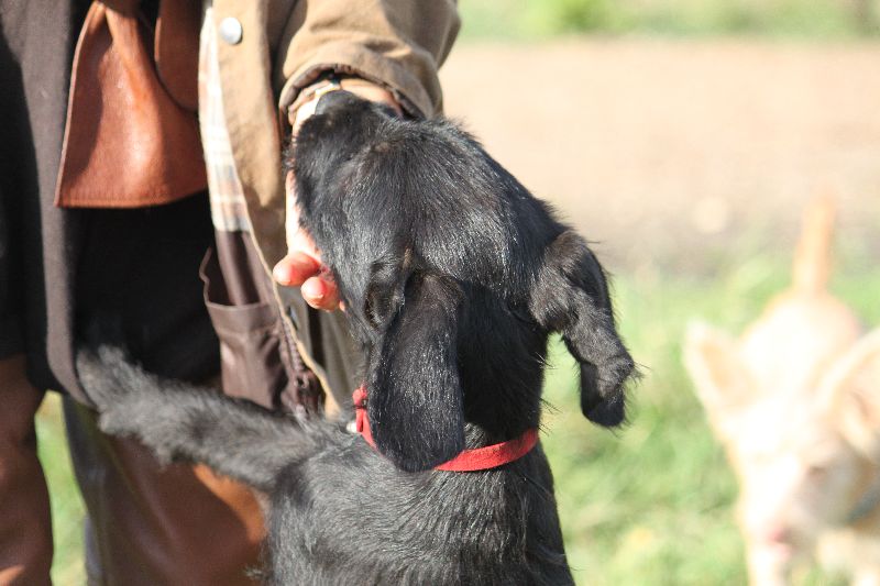 HaM-Wiese 18Nov09_94.jpg