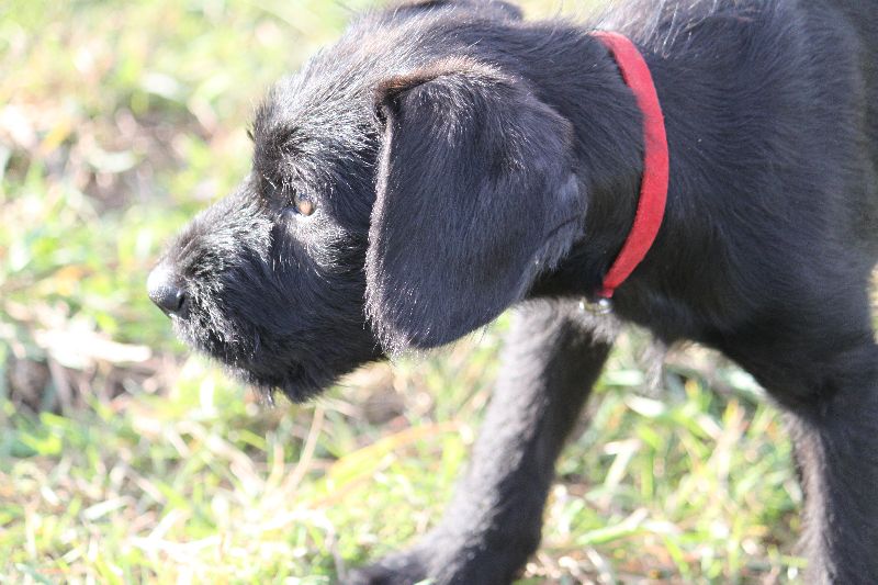 HaM-Wiese 18Nov09_145.jpg