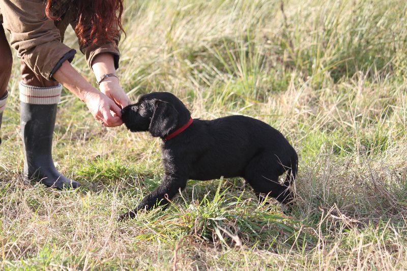 HaM-Wiese 18Nov09_149.jpg