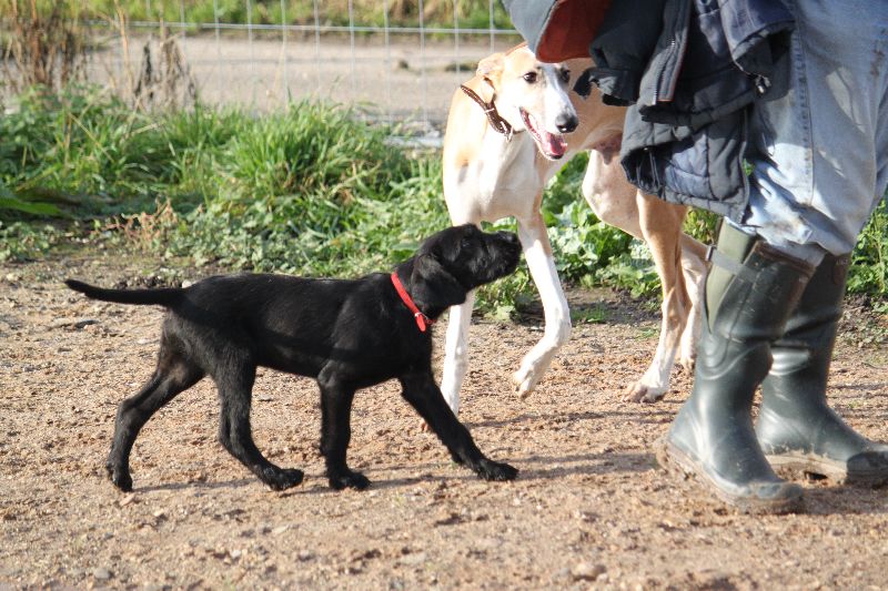 HaM-Wiese 18Nov09_231.jpg