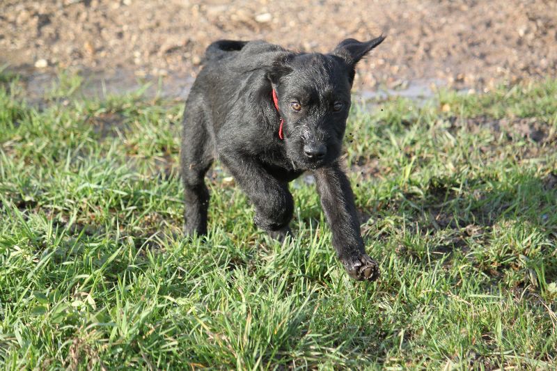 HaM-Wiese 18Nov09_234.jpg