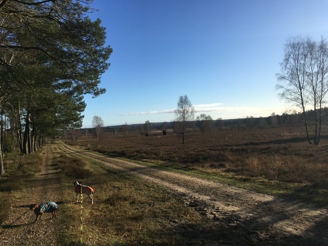 FD9A63D0-5F5A-4086-865F-DF9514E673AA.jpeg