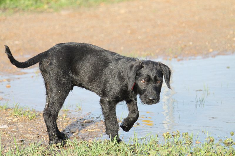 HaM-Wiese 18Nov09_240.jpg