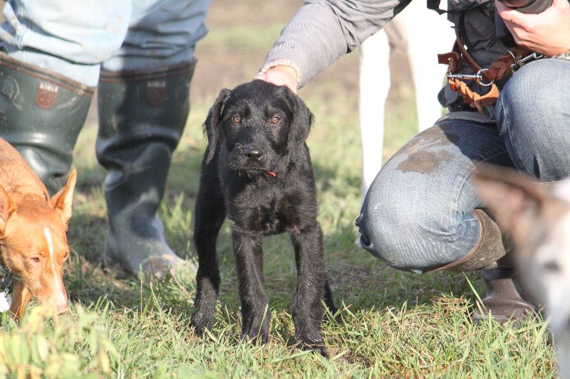 HaM-Wiese 18Nov09_265.jpg