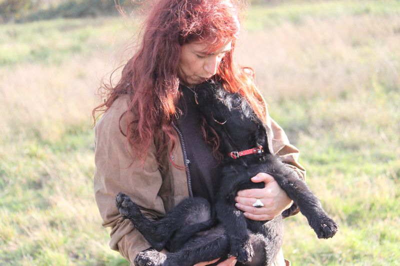 HaM-Wiese 18Nov09_277.jpg