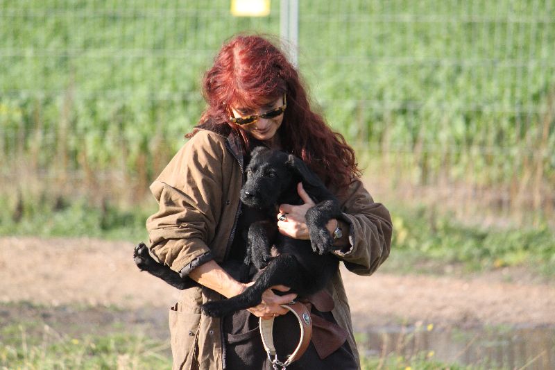 HaM-Wiese 18Nov09_71.jpg