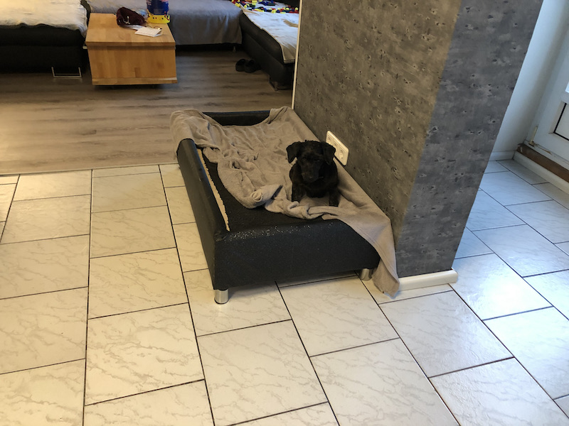 IMG_0473.jpeg
