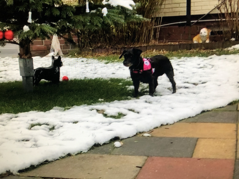 IMG_0508.jpeg