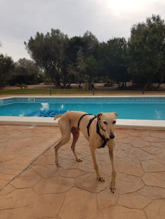 068cdaca-dbd4-40df-9ce2-7153b6e96525.jpg