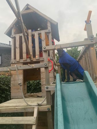 faee6432-a62a-4254-ae13-546d4da6aa18.jpg