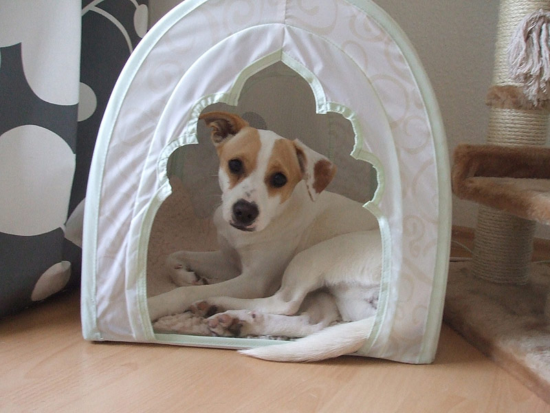 DSCF1596.jpg