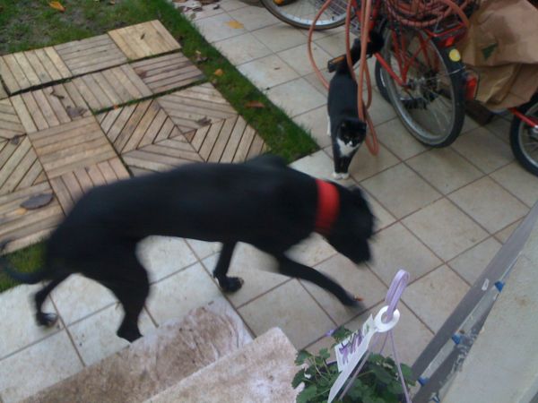 024-Nov.20.2009.jpg