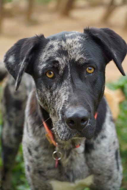 WhatsApp Image 2021-03-01 at 20.59.00.jpeg