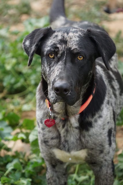 WhatsApp Image 2021-03-01 at 20.58.49.jpeg