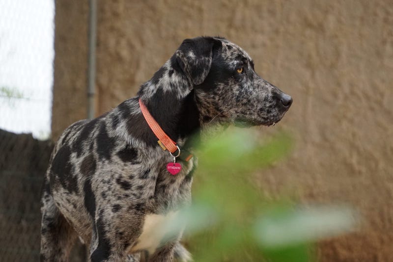 WhatsApp Image 2021-03-01 at 20.58.58 (1).jpeg