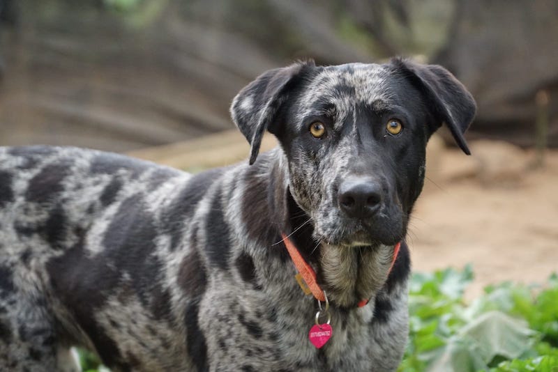 WhatsApp Image 2021-03-01 at 20.58.58.jpeg