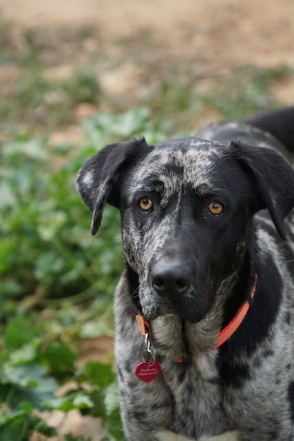 WhatsApp Image 2021-03-01 at 20.58.59.jpeg