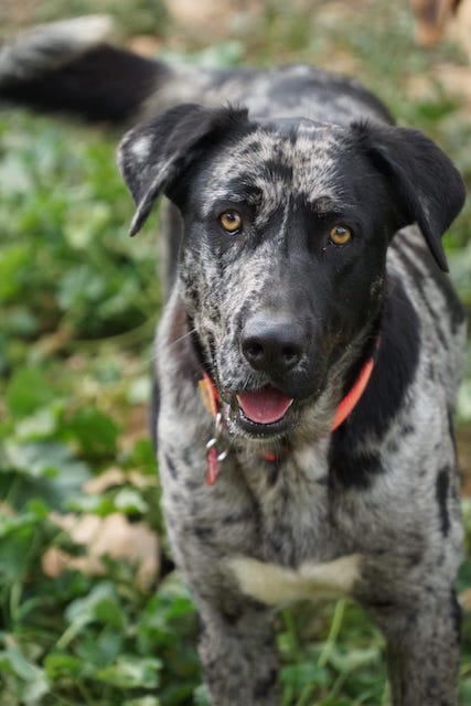 WhatsApp Image 2021-03-01 at 20.59.01 (1).jpeg