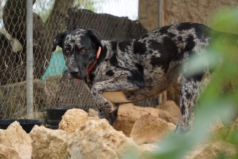 WhatsApp Image 2021-03-01 at 20.59.01.jpeg