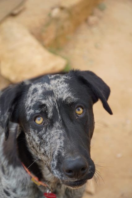 WhatsApp Image 2021-03-01 at 20.59.02 (1).jpeg