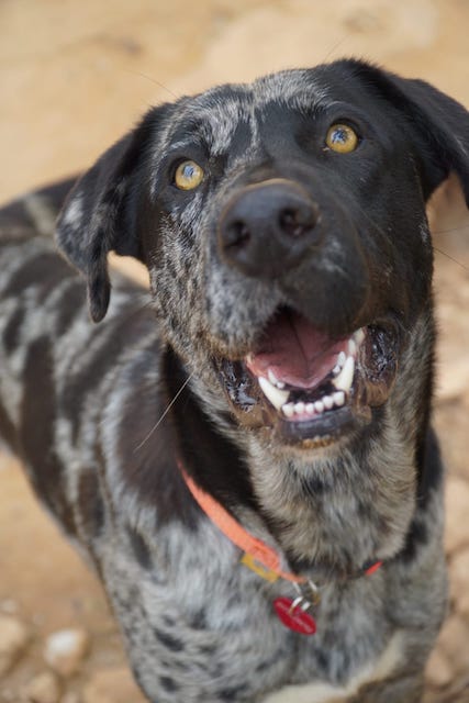 WhatsApp Image 2021-03-01 at 20.59.02 (2).jpeg