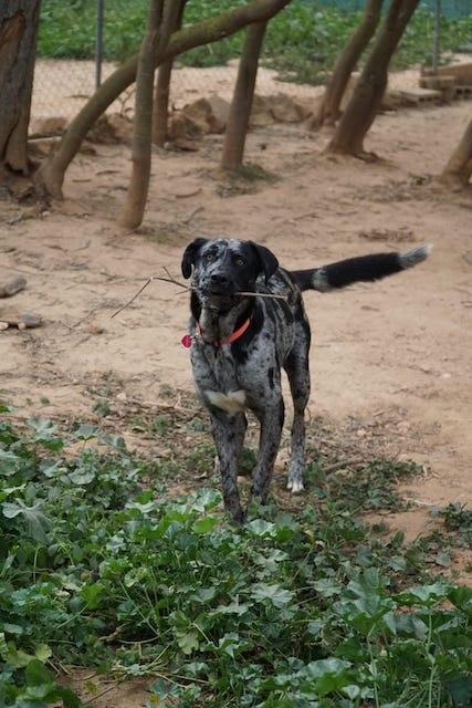 WhatsApp Image 2021-03-01 at 20.59.02.jpeg