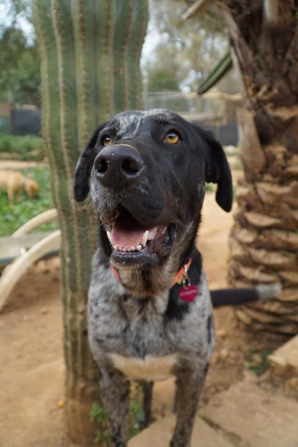 WhatsApp Image 2021-03-01 at 20.59.03 (1).jpeg