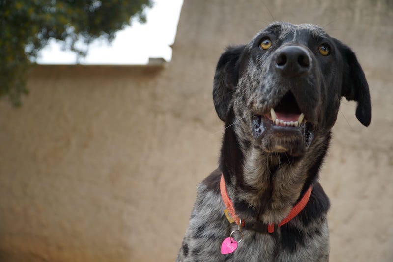 WhatsApp Image 2021-03-01 at 20.59.03 (2).jpeg