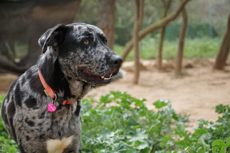 WhatsApp Image 2021-03-01 at 20.59.03 (3).jpeg