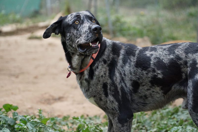 WhatsApp Image 2021-03-01 at 20.59.03.jpeg