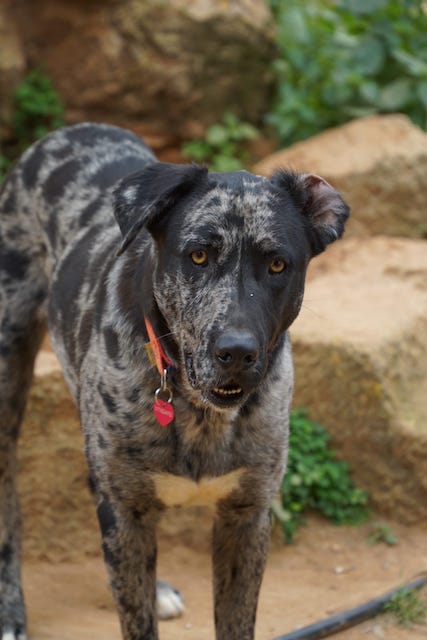 WhatsApp Image 2021-03-01 at 20.59.04 (1).jpeg